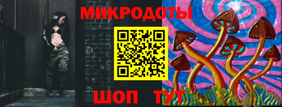 Псилоцибиновые грибы Psilocybine cubensis  Вход с VPN  Луга  Псилоцибиновые грибы мицелий 
