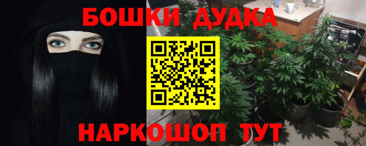 МАРИХУАНА ГИДРОПОН Луга